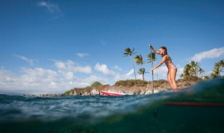 maui jim sunglasses 3