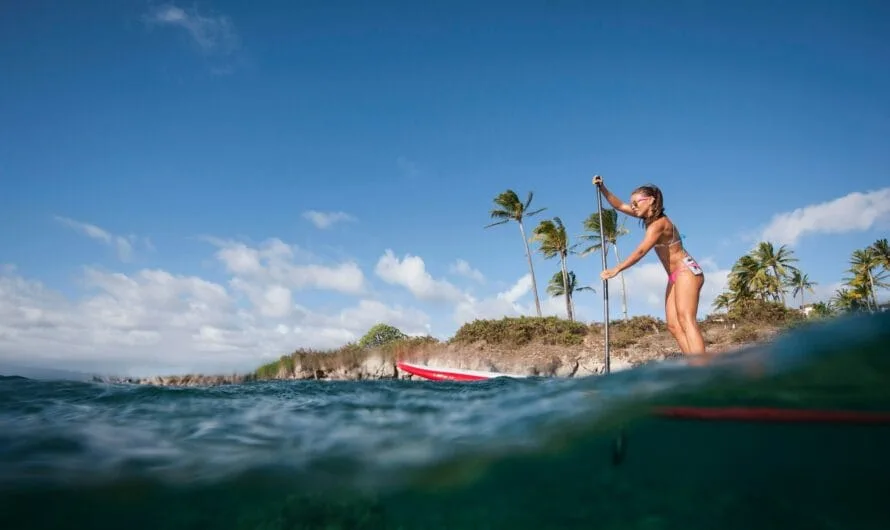Les lunettes de soleil Maui Jim : Un voyage vers le paradis avec chaque paire