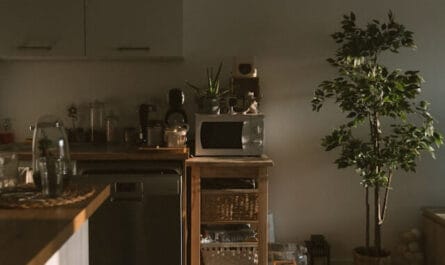 agence immobiliere orleans sologne 3